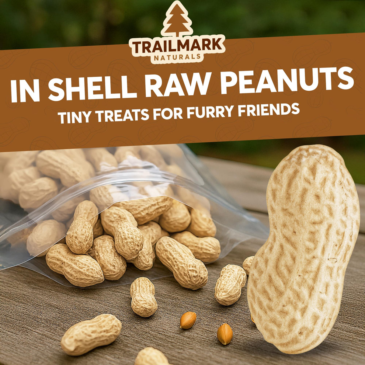 Raw Peanuts in Shell for Squirrels, Birds and Wildlife F53539