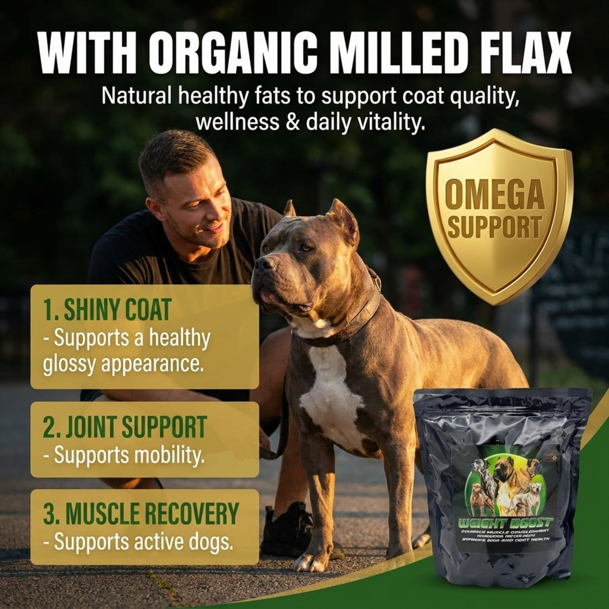 Dog Weight Protein Supplement 2 lb A332670