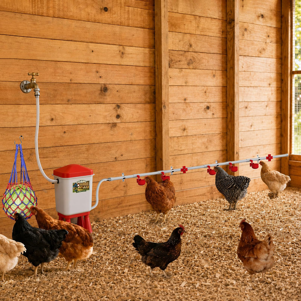 3 Gallon Automatic Chicken Waterer with 8 Cups and 8 Nipples K79864