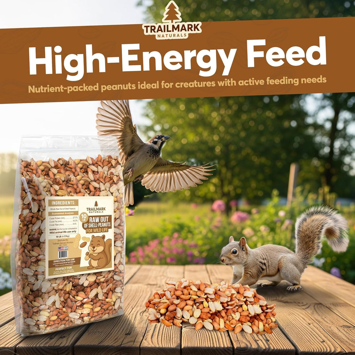 Raw Shelled Peanuts T854025