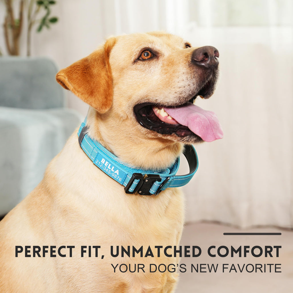 Tactical Dog Collar with Handle B675992