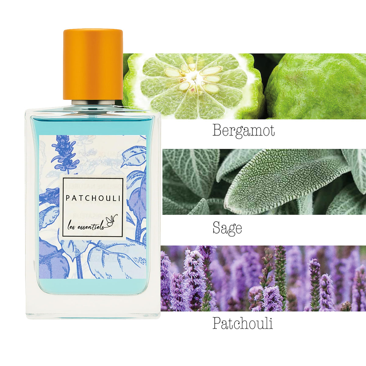 Patchouli Woody Amber 2.7 oz Perfume X11676