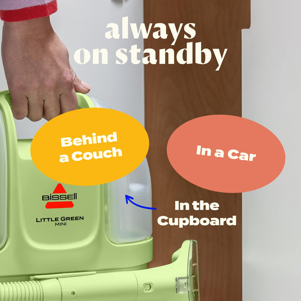 Portable Carpet Cleaner V675