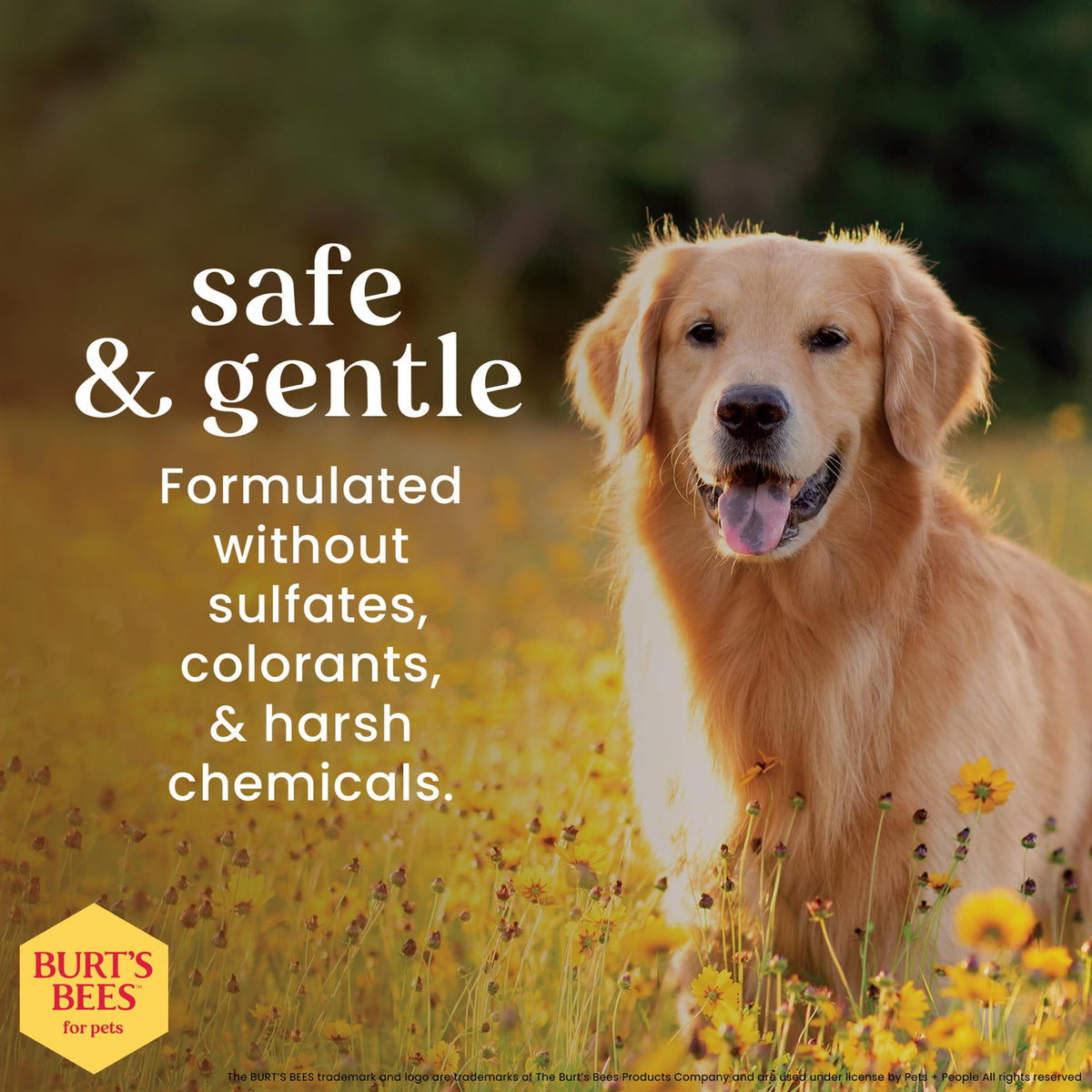 Dog Detangling Spray with Lemon & Linseed 10 Fl Oz T250