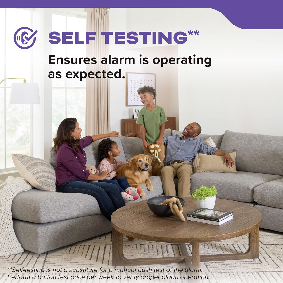 Smoke & Carbon Monoxide Detector, AA Battery-Powered, 3 Pack S711