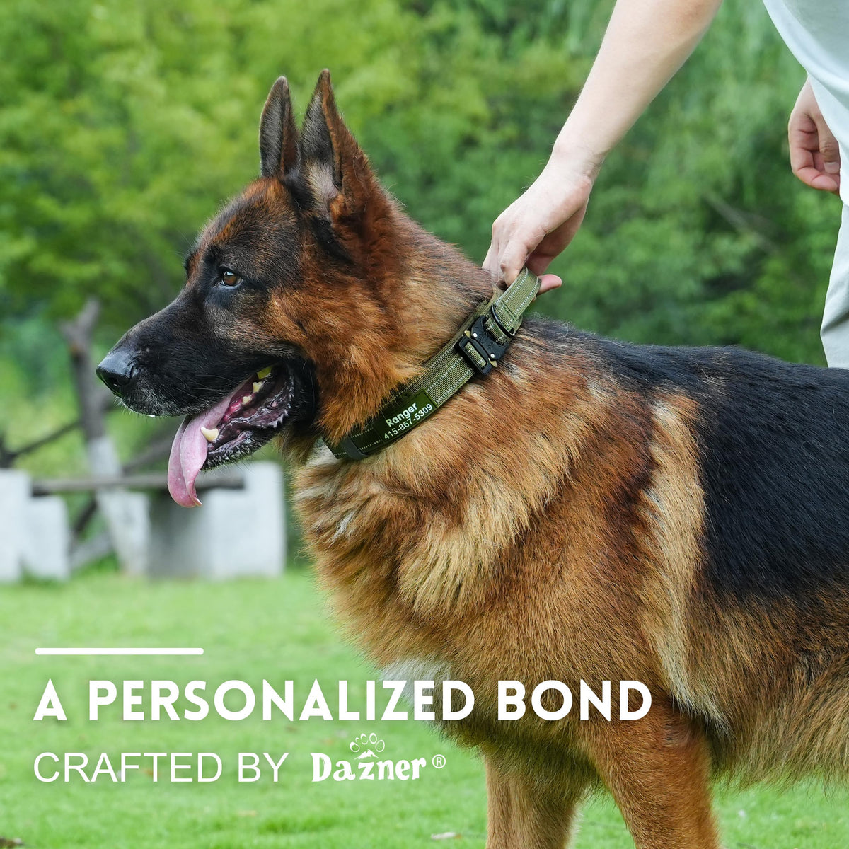 Tactical Dog Collar with Handle B675992
